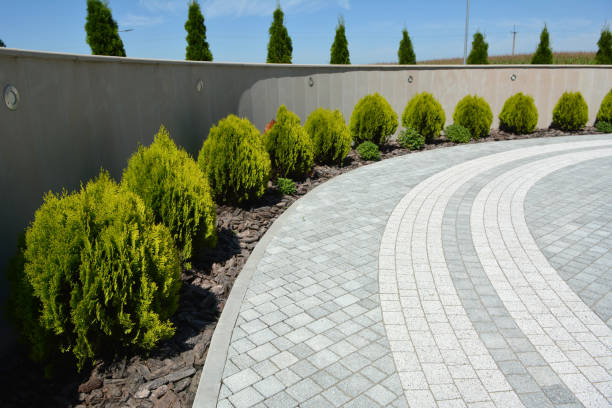 Professional Driveway Pavers in Hardeeville, SC